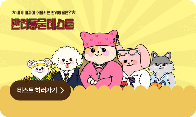 심리테스트 인트로 이미지